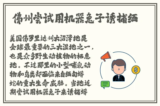 中国XXXXXL免费的